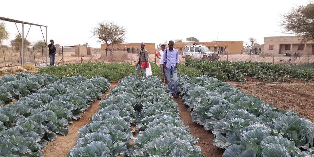 Dyrkning UN Photo/ WFP/ Jeanine Traore