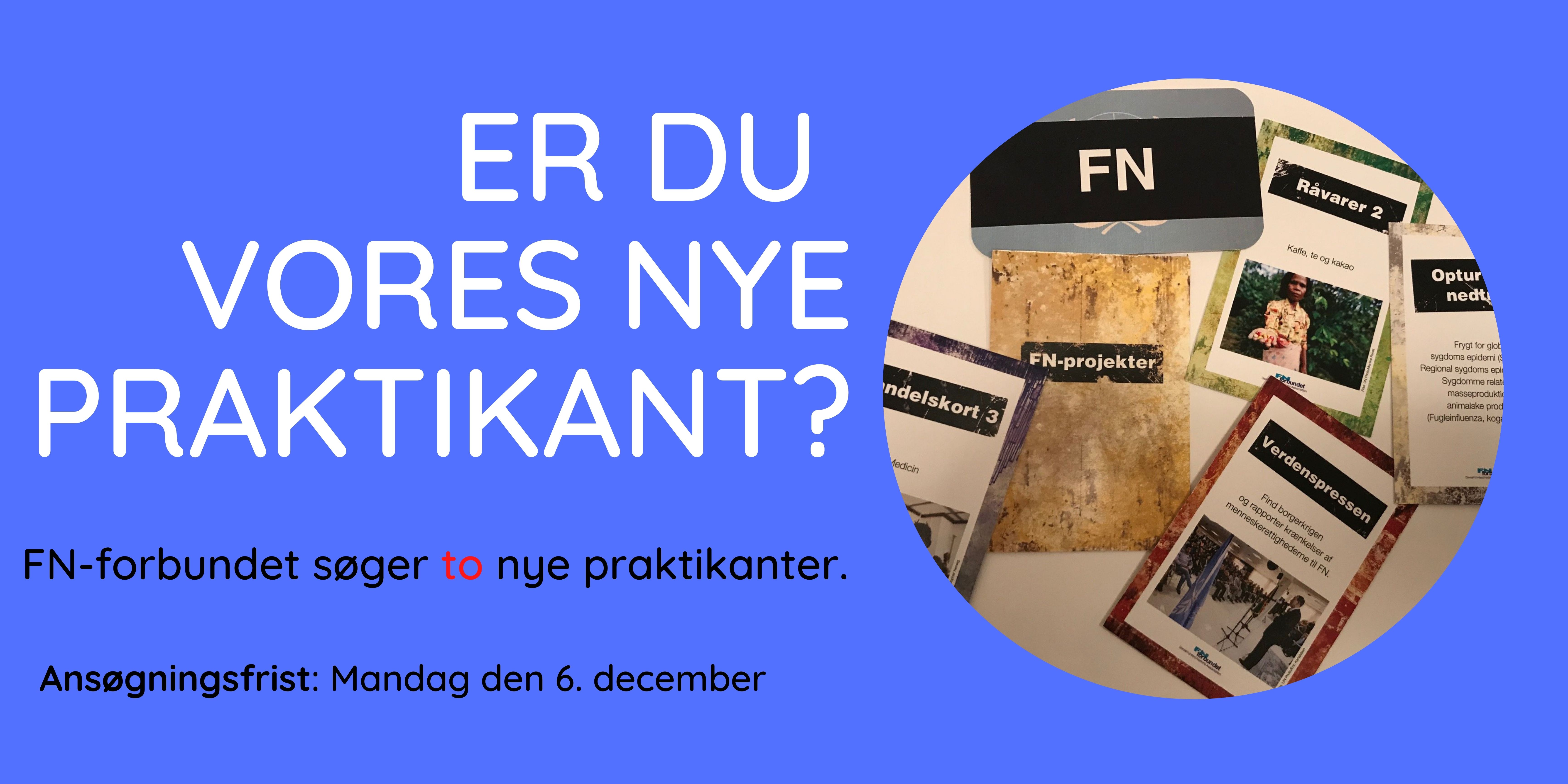 Er Du Vores Nye Praktikant