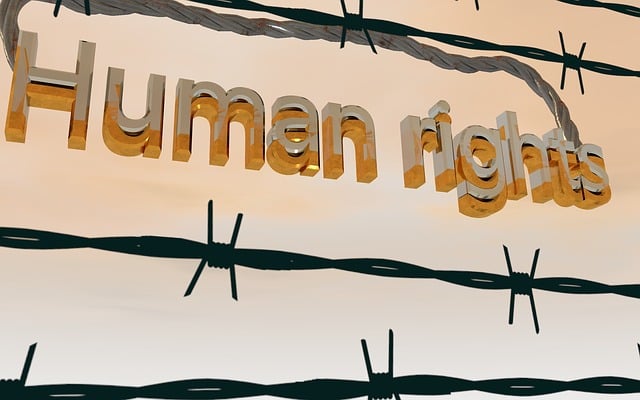 Human Rights Pixabay Kalhh